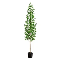 6ft. UV Artificial Podocarpus Artificial Tree (Indoor/Outdoor)