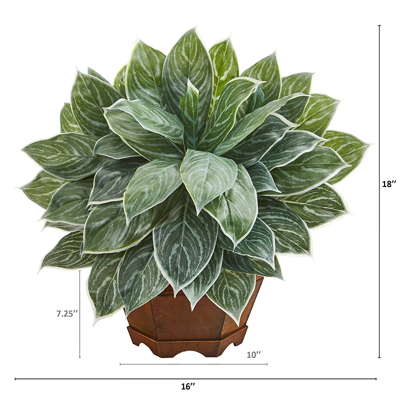 18" Chinese Evergreen Plant in Decorative Planter