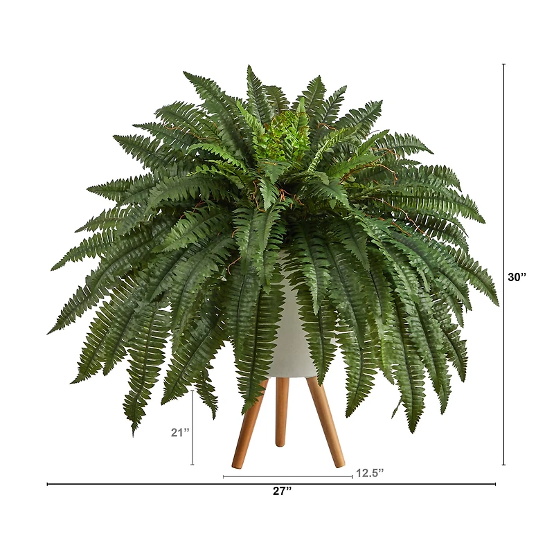 2.5ft. Boston Fern in White Planter with Legs
