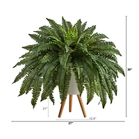 2.5ft. Boston Fern in White Planter with Legs