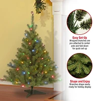 4 ft. Pre-Lit Kincaid Spruce Artificial Christmas Tree