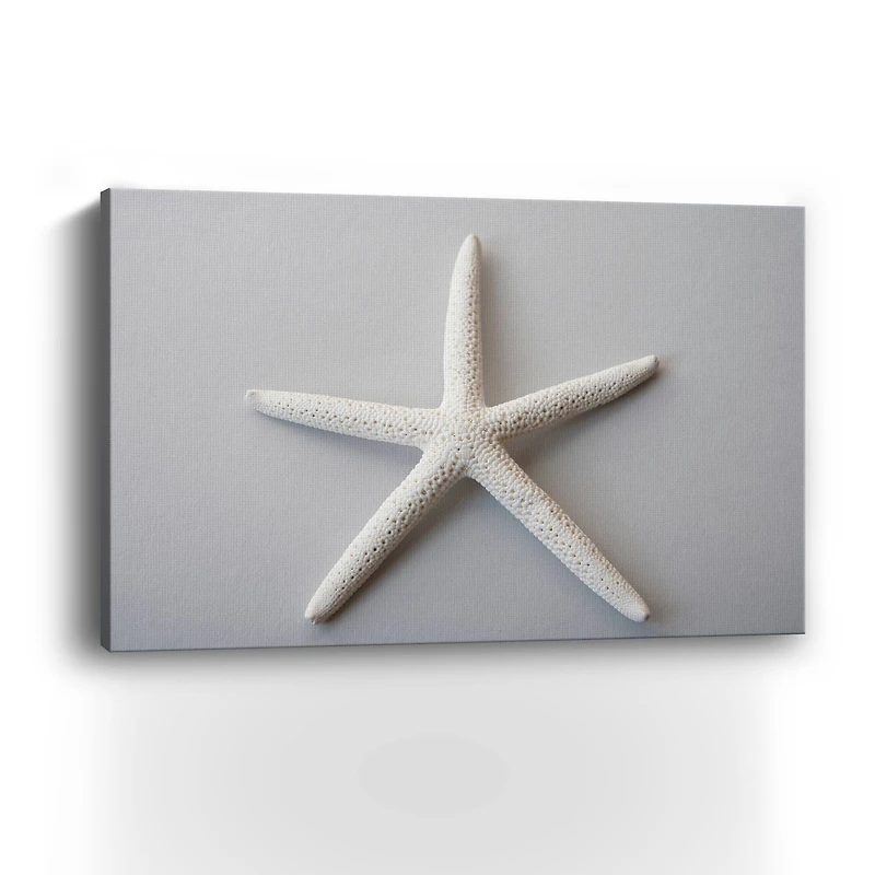 Sand Star Canvas Giclee