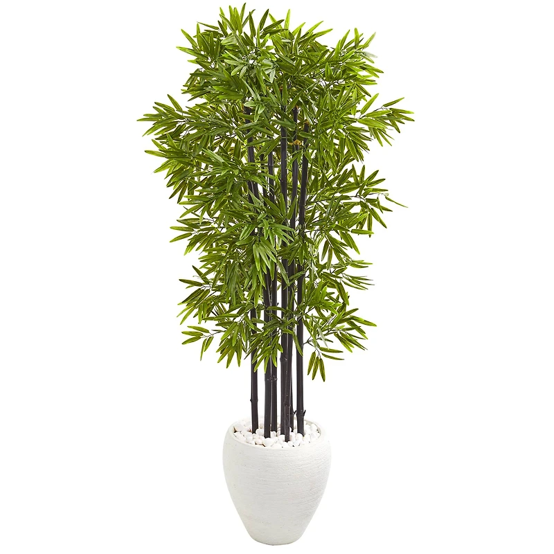 5ft. Bamboo Tree with Black Trunks in Decorative White Planter