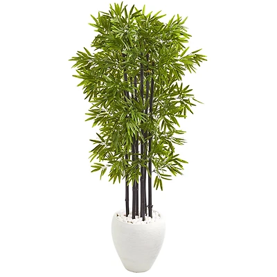 5ft. Bamboo Tree with Black Trunks in Decorative White Planter