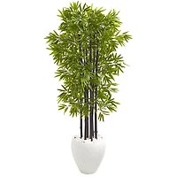 5ft. Bamboo Tree with Black Trunks in Decorative White Planter