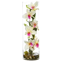 20'' White Cattleya Orchid Arrangement in Cylinder Vase