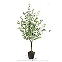 4ft. Potted Eucalyptus Tree