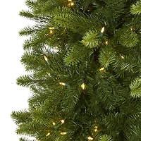 9ft. Pre-Lit Virginia Spruce Artificial Christmas Tree, Warm White LED Lights