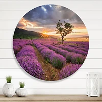 Designart - Sunrise & Dramatic Clouds Over Lavender Field VIII