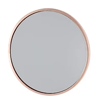 24" Silver Contemporary Metal Wall Mirror