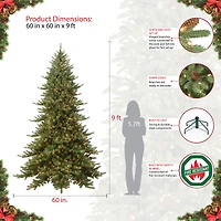 9ft. Pre-Lit Royal Majestic Fraser Fir Artificial Christmas Tree, Clear Lights