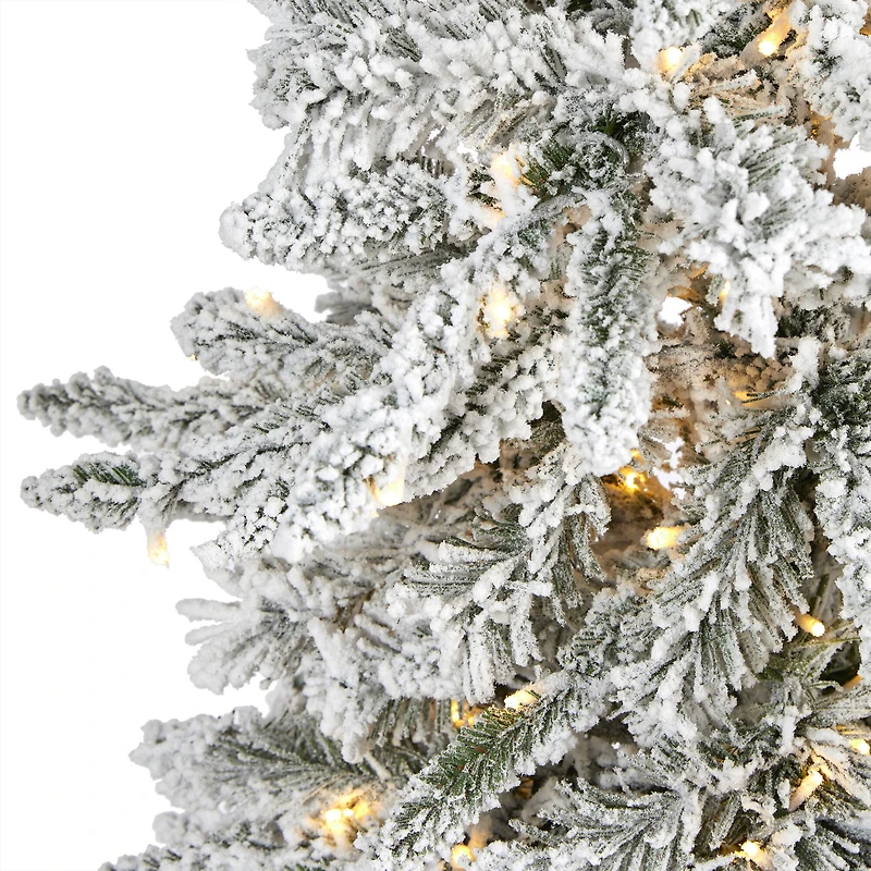 5ft. Pre-Lit Flocked Grand Northern Rocky Fir Artificial Christmas Tree, Warm White Micro LED Lights