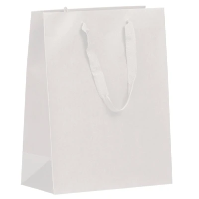 JAM Paper Large White Matte Heavy Duty Kraft Gift Bags, 10ct.