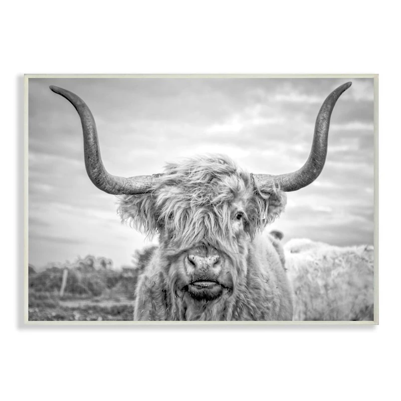 Stupell Industries Black & White Highland Cow Wall Plaque