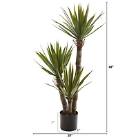 4ft. Potted Yucca Tree