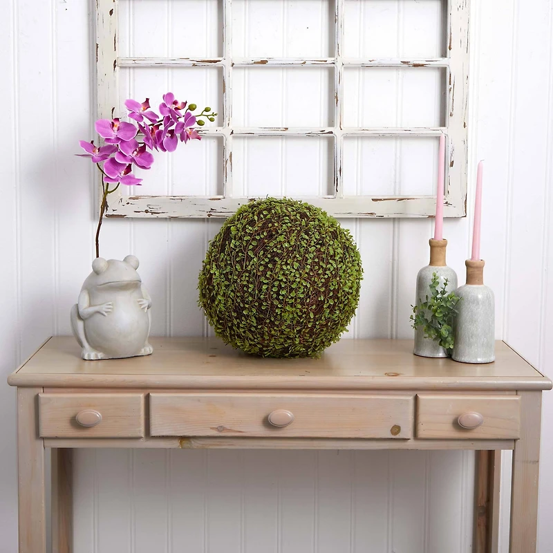 2.5ft. Mohlenbechia Ball in Black Tower Vase