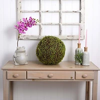 2.5ft. Mohlenbechia Ball in Black Tower Vase