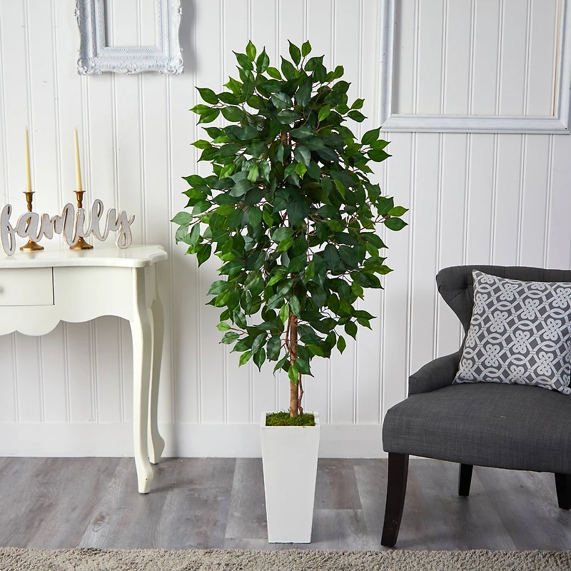 4.5ft. Ficus Tree in White Planter
