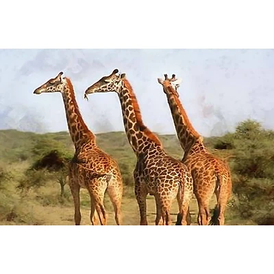Sparkly Selections Giraffes on the Safari Diamond Painting Kit, Square Diamonds