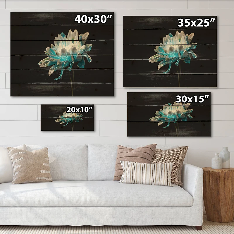 Designart - Close Up Of Pure Blue and White Daisy Flower I