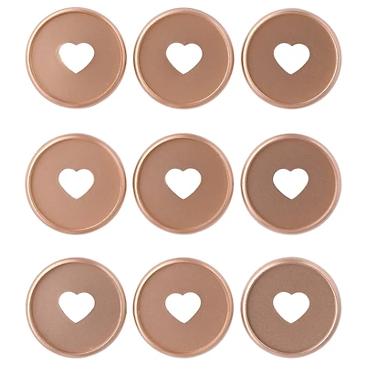 The Happy Planner® Classic Discs, Rose Gold
