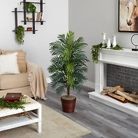 4.6ft. Areca Palm Tree with Basket