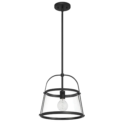 Hello Honey® Fallon Black Vintage Metal & Clear Glass Ceiling Light