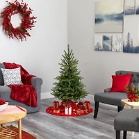 4ft. Pre-Lit North Carolina Spruce Artificial Christmas Tree, Clear LED Lights