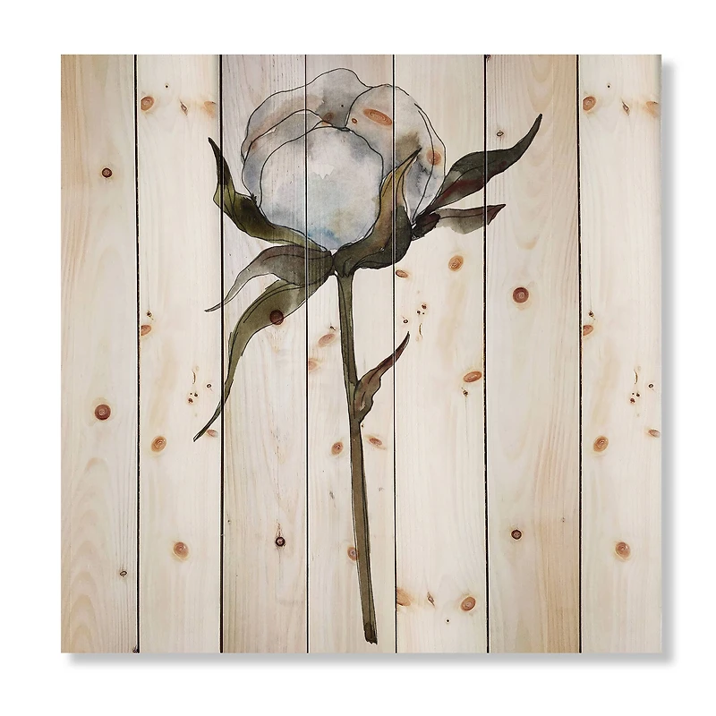 Designart - Retro Cotton Flower