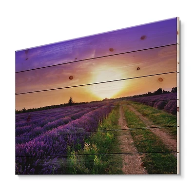 Designart - Lavender Field At Dawn II