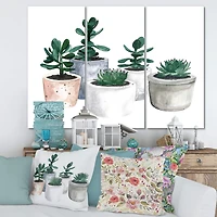 Designart - Cactus and Succulent House Plants VI