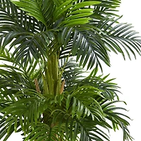 5ft. Potted Triple Areca Palm Tree