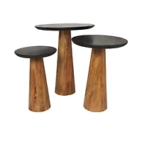 Brown Mango Wood Handmade Cone Shaped Accent Table with Black Tabletop Set