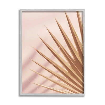 Stupell Industries Palm Frond Photograph Expressive Tropical Plant Sun Bleached Framed Wall Art