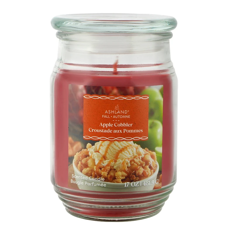 17oz. Fall Scented Jar Candle by Ashland