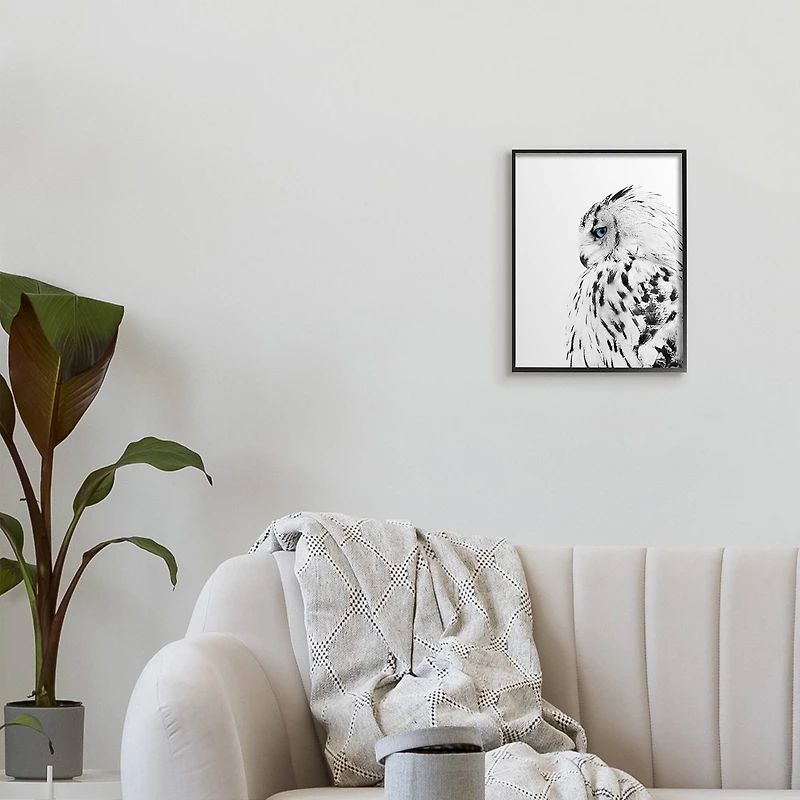 Stupell Industries Snow Owl White Feathers Peering Blue Eyes in Frame Wall Art