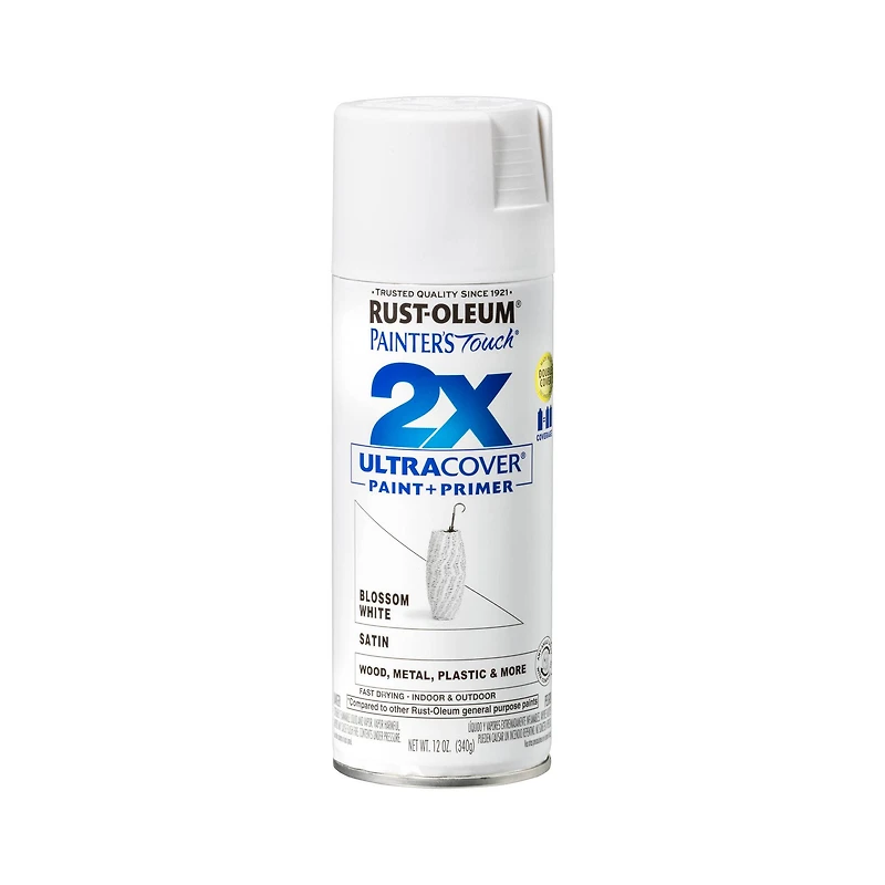 Painter's Touch® 2X Ultra Cover® Satin Spray Paint