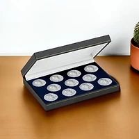 Complete Susan B. Anthony Dollar Collection in Brilliant Uncirculated Condition