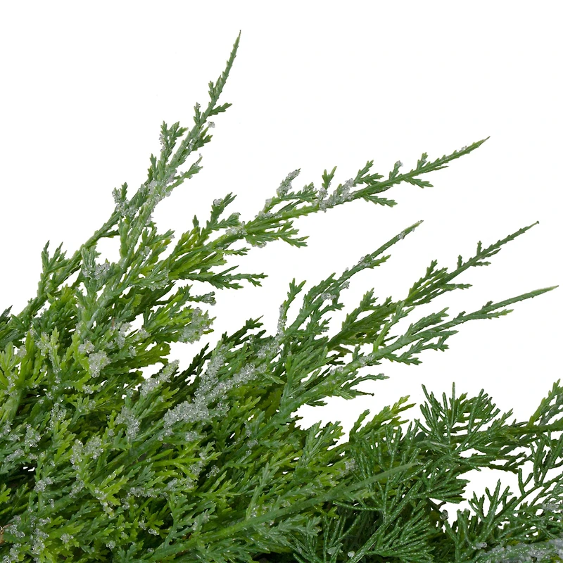26" Frosted Cedar & Pinecone Christmas Wreath