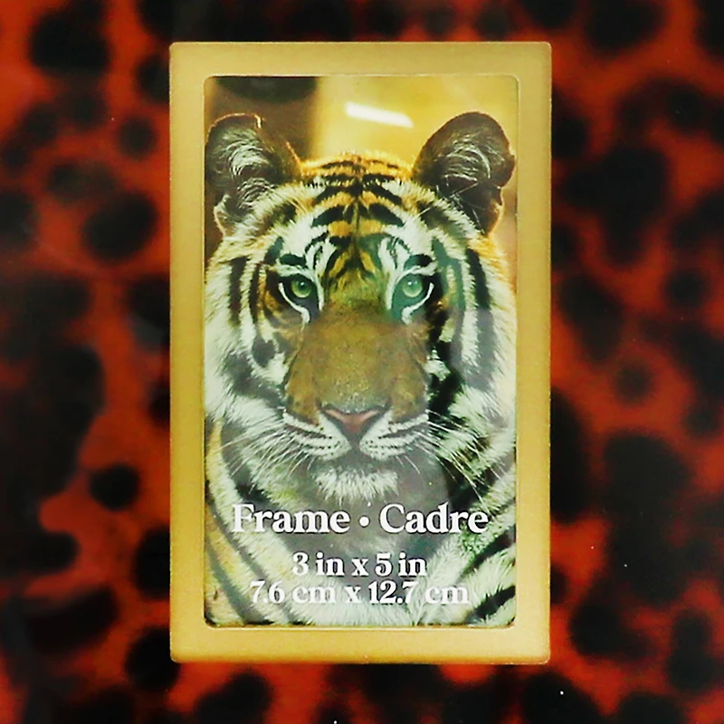 3" x 5" Orange Leopard Print Tabletop Frame by Ashland®
