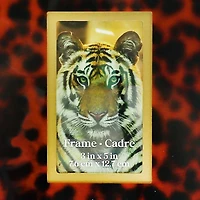 3" x 5" Orange Leopard Print Tabletop Frame by Ashland®
