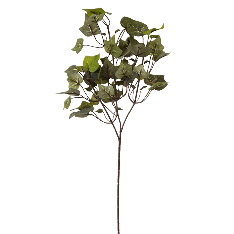 24 Pack: Floral Essentials English Ivy Spray by Ashland®