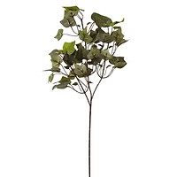 24 Pack: Floral Essentials English Ivy Spray by Ashland®