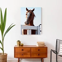 Curious Horse 18" x 24" Canvas Wall Art