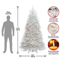 7.5 ft. Pre-Lit White Dunhill® Fir Full Artificial Christmas Tree, Clear Lights