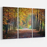 Designart - Wide Pathway in Yellow Fall Forest
