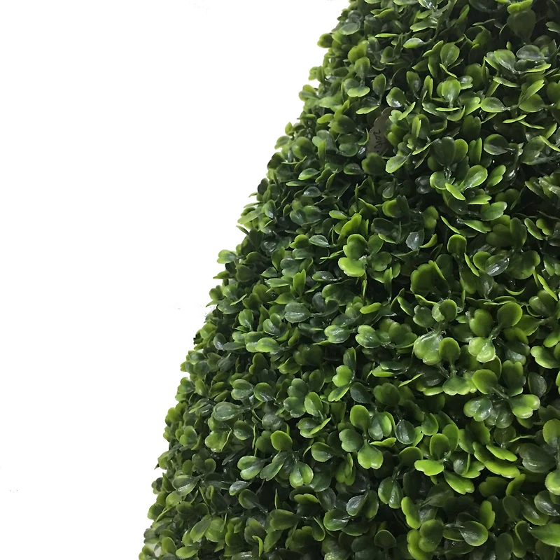 3ft. Potted Boxwood Teardrop Shaped Bush
