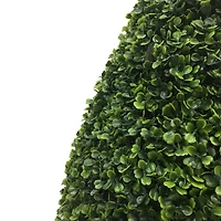 3ft. Potted Boxwood Teardrop Shaped Bush