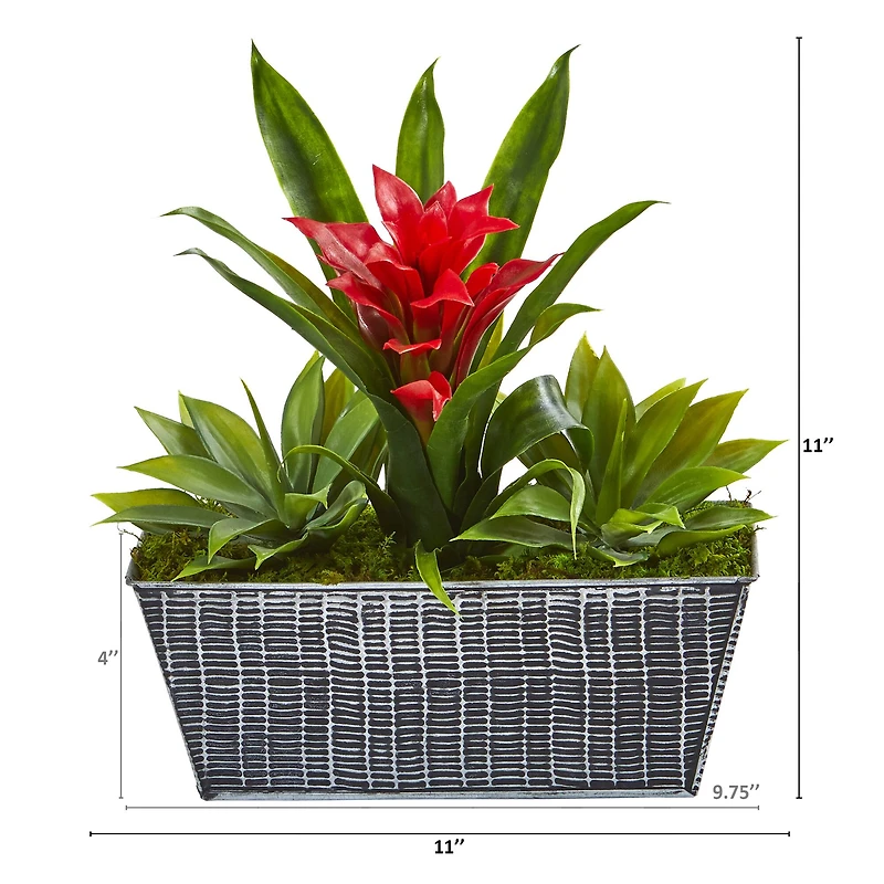 11" Bromeliad & Agave in Embossed Tin Planter