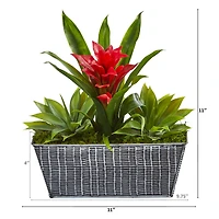 11" Bromeliad & Agave in Embossed Tin Planter
